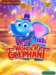 WonderElephant: Aventura Mágica no Mundo dos Elefantes